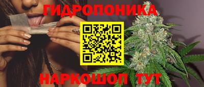 Альфа ПВП Будённовск