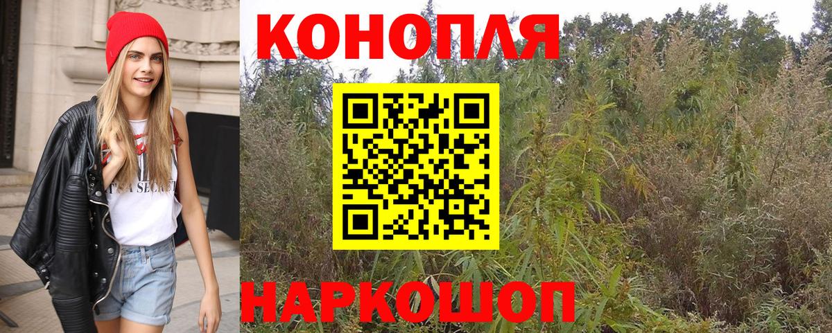 Конопля планчик Крымск
